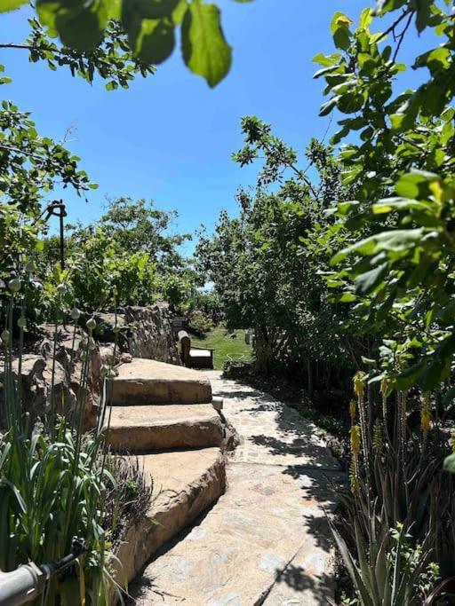Lilly'S Finca - Romantischter Rueckzugsort - Pool Vilaflor Zewnętrze zdjęcie