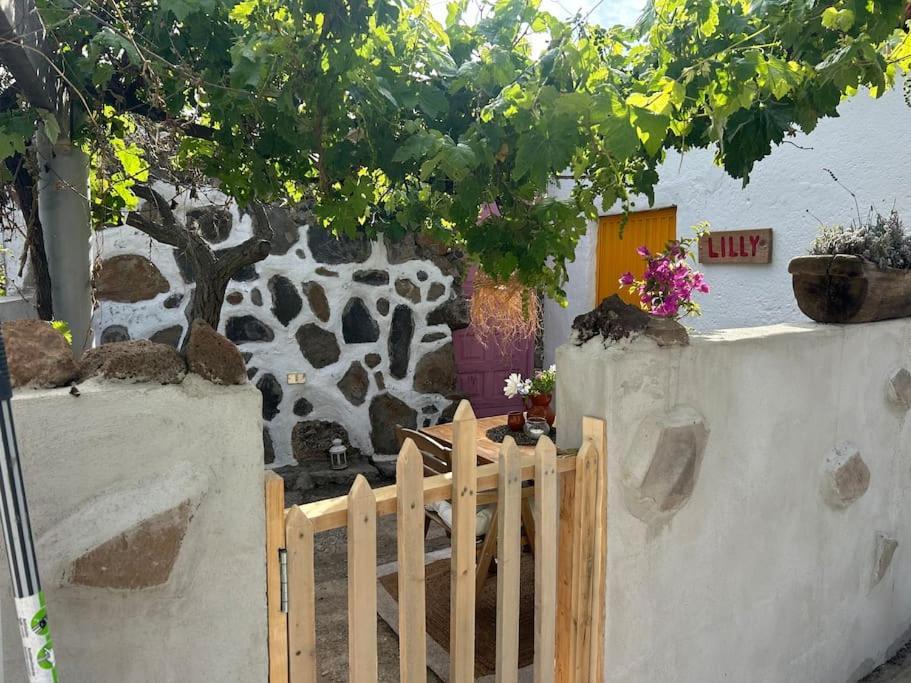 Lilly'S Finca - Romantischter Rueckzugsort - Pool Vilaflor Zewnętrze zdjęcie