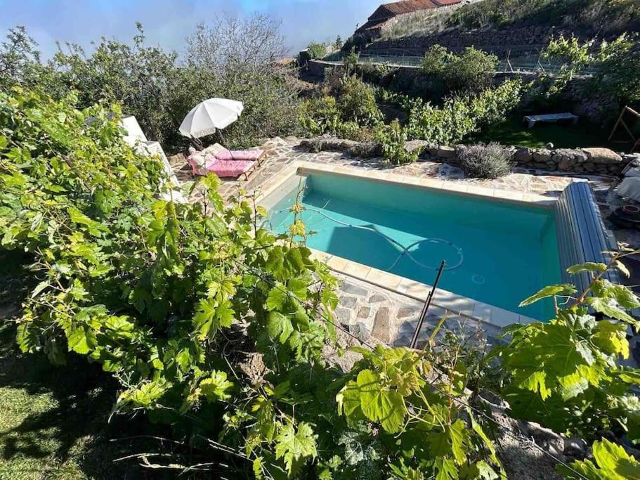 Lilly'S Finca - Romantischter Rueckzugsort - Pool Vilaflor Zewnętrze zdjęcie
