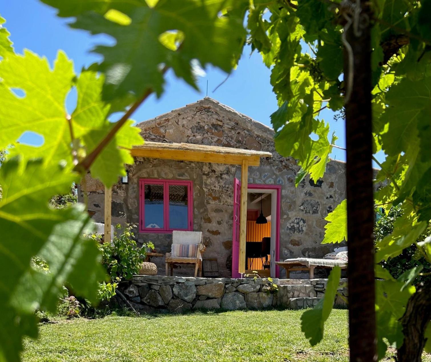 Lilly'S Finca - Romantischter Rueckzugsort - Pool Vilaflor Zewnętrze zdjęcie